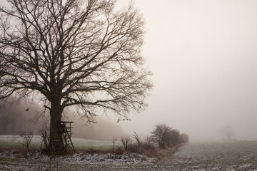 Hochsitz am Feld mit Nebel im Winter
