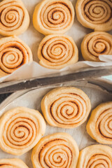 Delicious homemade raw cinnamon rolls bun dough in the rectangle shaped baking tray on the white baking paper. Top view.