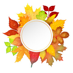 Colorful autumn leaves frame on white background. Vector illustration