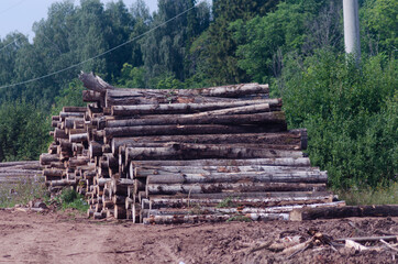 Fototapeta na wymiar Logging and timber extraction, wood
