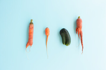 Ugly vegetables on blue background. Horizontal orientation, top view