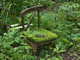 Fotobehang Een oude kapotte stoel staat alleen in een struikgewas van groen bos © Albert Ziganshin