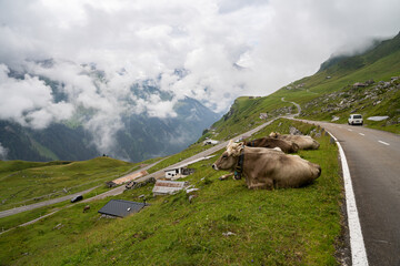 Alpen in der Schweiz: Klausenpass