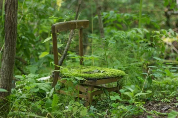 Poster Een oude stoel in het bos. Onnodige meubels, afval. © Albert Ziganshin