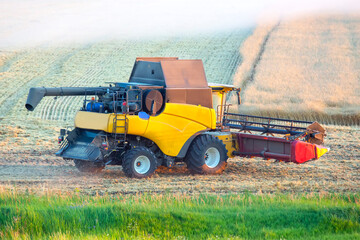 The harvester is harvesting wheat in the field. grain preparation. agronomy and agriculture.