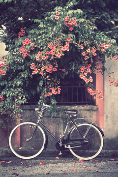 bicycle with flowers on background, a bike leans against the wall picture vintage effect
