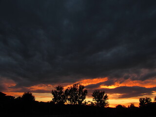 sunset in the forest