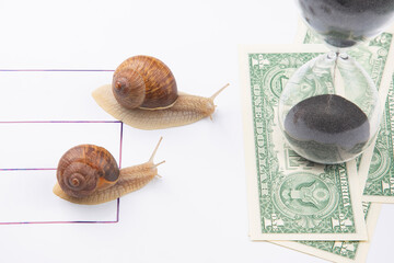 the snail is in a hurry to win in speed for the right to receive money. competition for the opportunity to be the first in business. time for the success of financial transactions