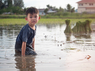 Cute little boy is playing in muddy rice fields.