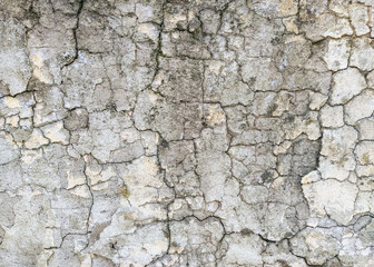 Wall background made of cracks. The texture of gray, dirty, cracked concrete.