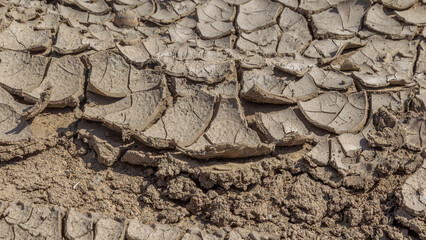 Dry deep cracks of the desert. World water scarcity on the planet. Global warming and greenhouse effect concept. Drought cracked earth climate change