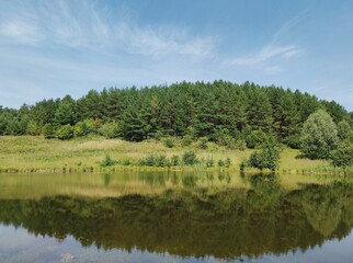 green forest near the shore of the lake against the blue sky on a sunny day