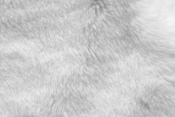 White fur fabric texture background