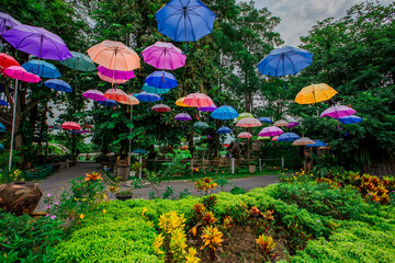Natural background, high angle from the high mountains that can see the scenery around, the wind blows through the cool, blurred of traveling, the integrity of the moist forest.