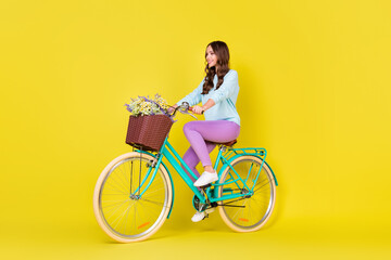 Full body size photo of stunning gorgeous student girl riding vintage pretty bike way home carry flowers wear blue pullover violet pants isolated vibrant yellow color background