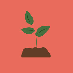 A small sprout of a future tree or flower that can be planted in the ground to grow