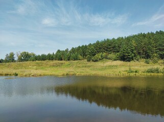 green forest by the lake against the blue sky on a sunny day