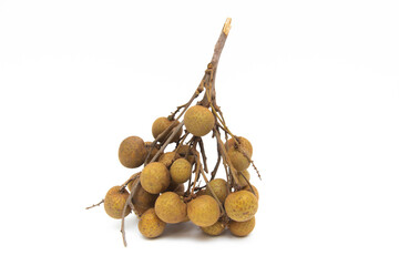 Longan on a white background.