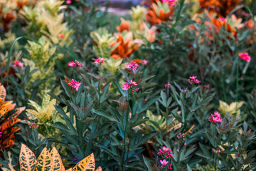 Aden Farm Nakhon Nayok-Nakhon Nayok: 1 August 2020, atmosphere inside the restaurant, coffee shop, with tourists coming to dine while traveling, Khlong Yai Subdistrict Ongkharak District Nakhon Nayok