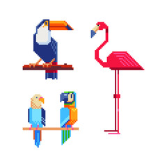 Birds. Pixel art set. Logo, stickers and embroidery design. Cartoon icon for children's mobile applications, book illustration. Game assets. Isolated vector illustration. 