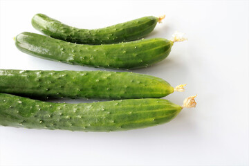 採れたての新鮮なきゅうり