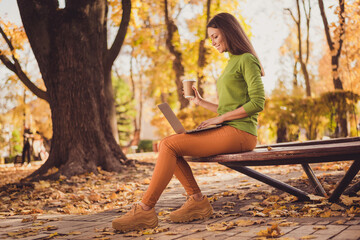Photo of charming cute lady sit bench near big tree autumn park hold laptop drink coffee smiling make break scrolling social network wear green turtleneck orange pants sneakers outdoors