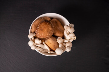 assorted mushrooms on white plate on black background for vegan food