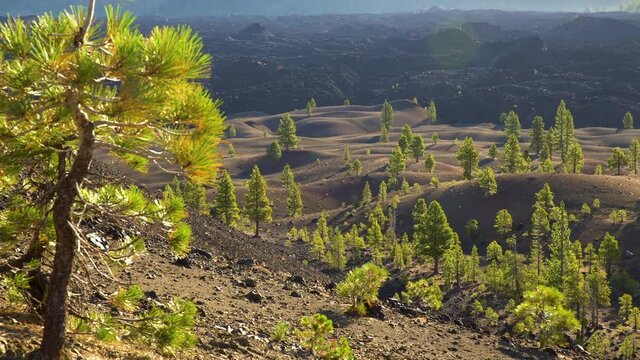 Pan shot of Painted Dunes in Lassen Volcanic National Park, California