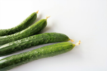 採れたての新鮮なきゅうり