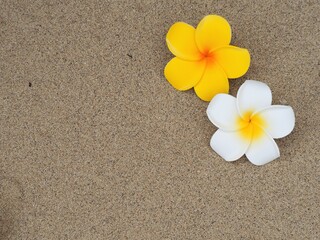 Fototapeta na wymiar 砂浜に置かれたプルメリアの造花