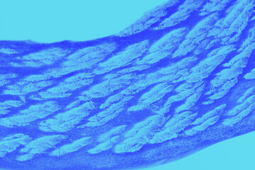 Obraz premium Deep blue patchy curved line on the aquamarine background