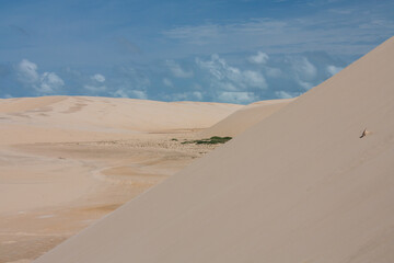 Fototapeta na wymiar Sandy Landscape - Lencois Maranhenses - Maranhao - Brazil