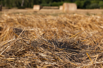 Ściernisko z belami słomy.