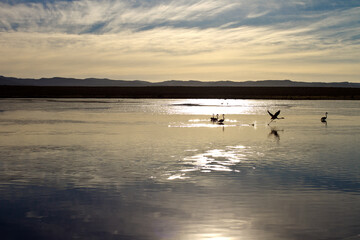 A sunset over a body of water