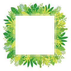 Tropical leaves and plants template frame background