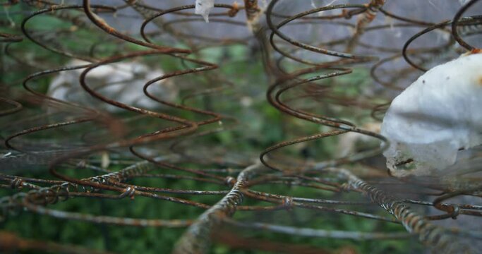 close-up of the remains of an old mattress and rusty springs with the remains of cotton wool. 