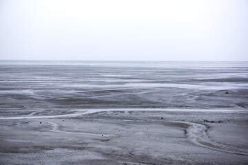 The beautiful and curious tidal mud flat.