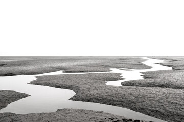 The beautiful and curious tidal mud flat.