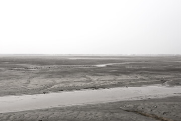 The beautiful and curious tidal mud flat.