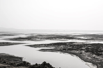 The beautiful and curious tidal mud flat.