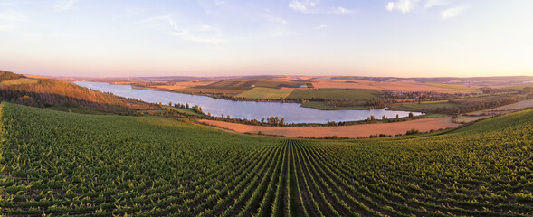 Panoramaaufnahme des Süßen See im Mansfelder Land mit Weinberg im Vordergrund und Obstbau im Hintergrund