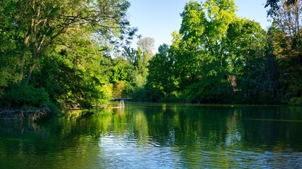 Green trees and beautiful lake early morning in the summer