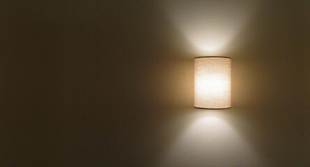A beautiful light bulb illuminates a dark wall