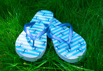 Flip flops on fresh green grass.
Close-up.