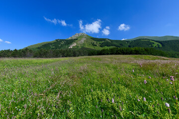 SORGENTI DEL SECCHIA | APPENINO TOSCCO EMILIANO