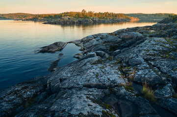 Sunrise on a rocky shore. Pine forest in the background.