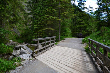 Fototapeta premium Strazyska Valley in Tatra Mountains, Podhale, Poland. Trail to Strazyska glade / clearing, Tatra National Park
