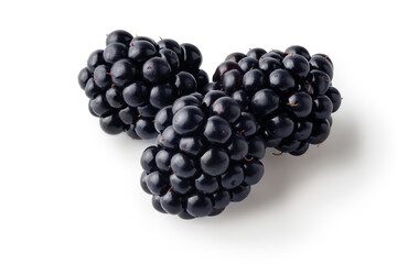 Ripe blackberries isolated on white background. Clipping path