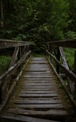 Brücke in dunklem Wald