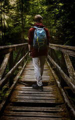 Wanderer auf brücke im Wald